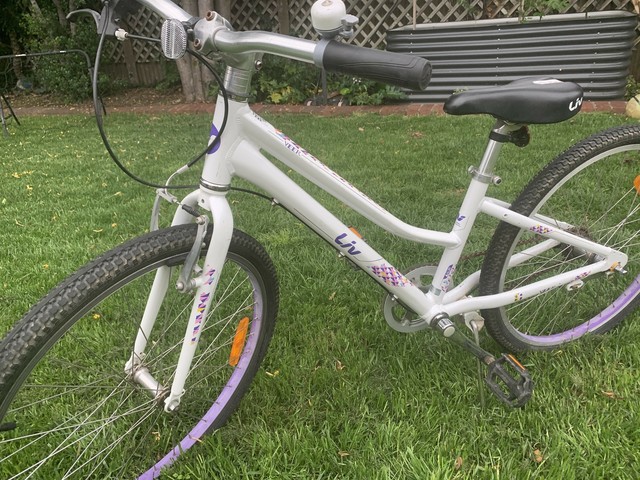 giant liv 24 inch