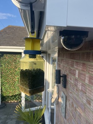 Artikelfoto(s) von einem verifizierten Käufer