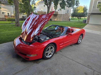 image 25 of exterior