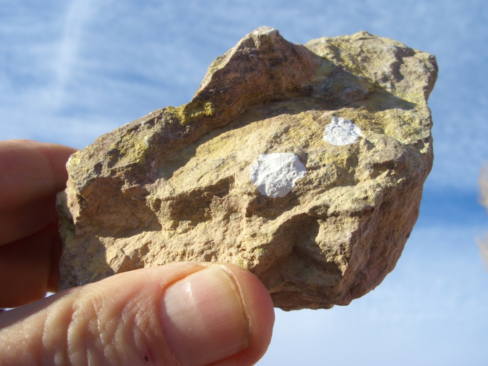 COFFINITE NATURAL URANIUM ROCK;  NEW MEXICO;   13.3 oz.   $22.00 + s/h