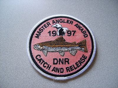 2006 Michigan DNR Wild Turkey Patch