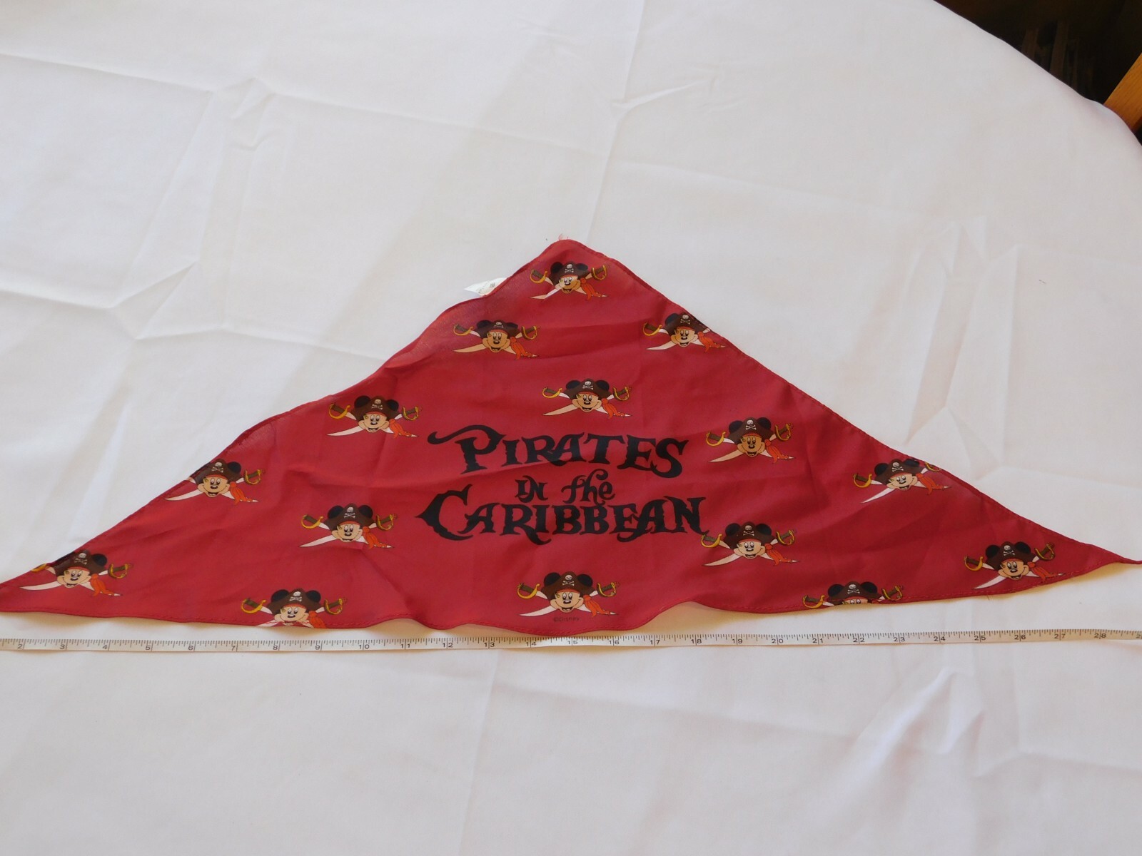 Disney Cruise Line 