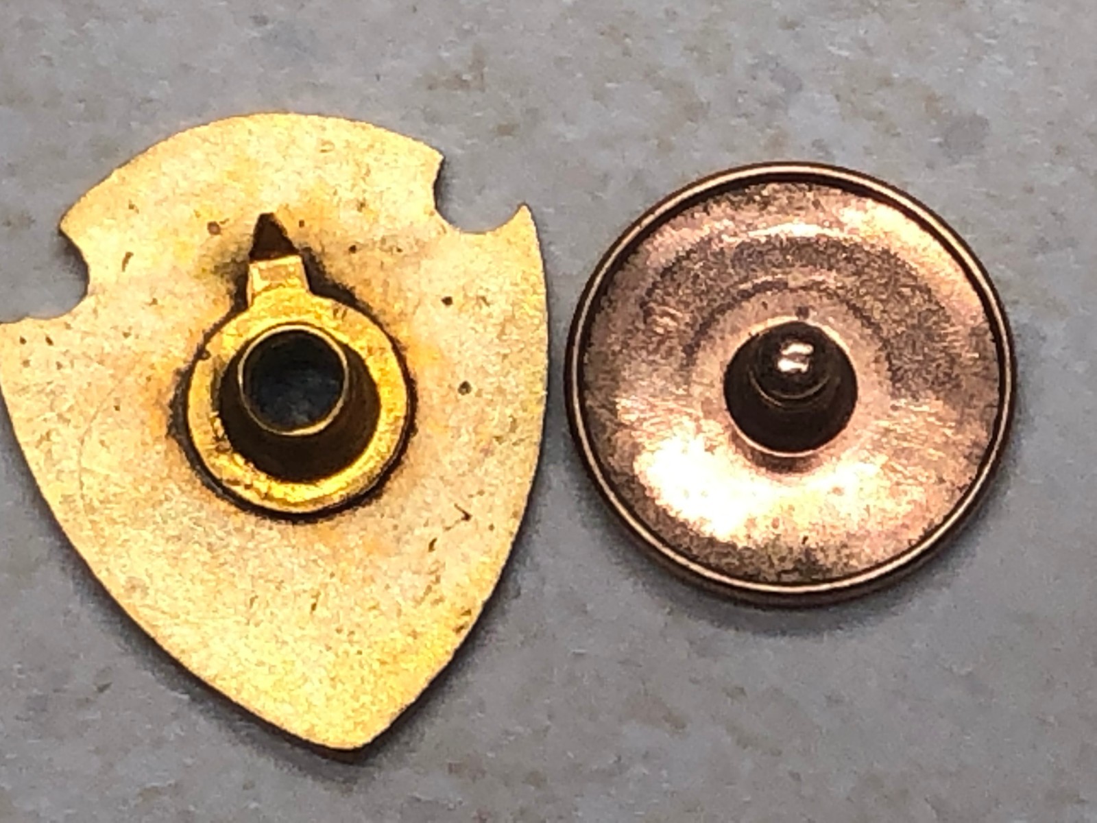 1934 Veterinary Congress New York Intl Screw Back Lapel Pin