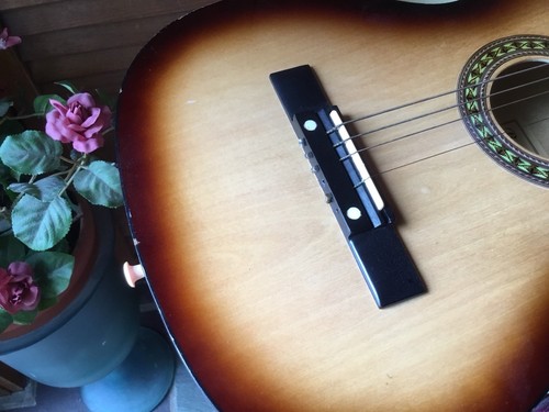 BURSWOOD BEGINNERS GUITAR JF-30S & INSTRUCTION BOOK NEEDS STRINGS