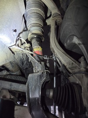 Fotos del artículo de un comprador verificado