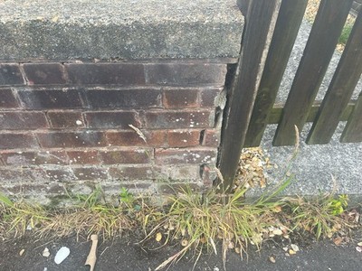 Fotos del artículo de un comprador verificado