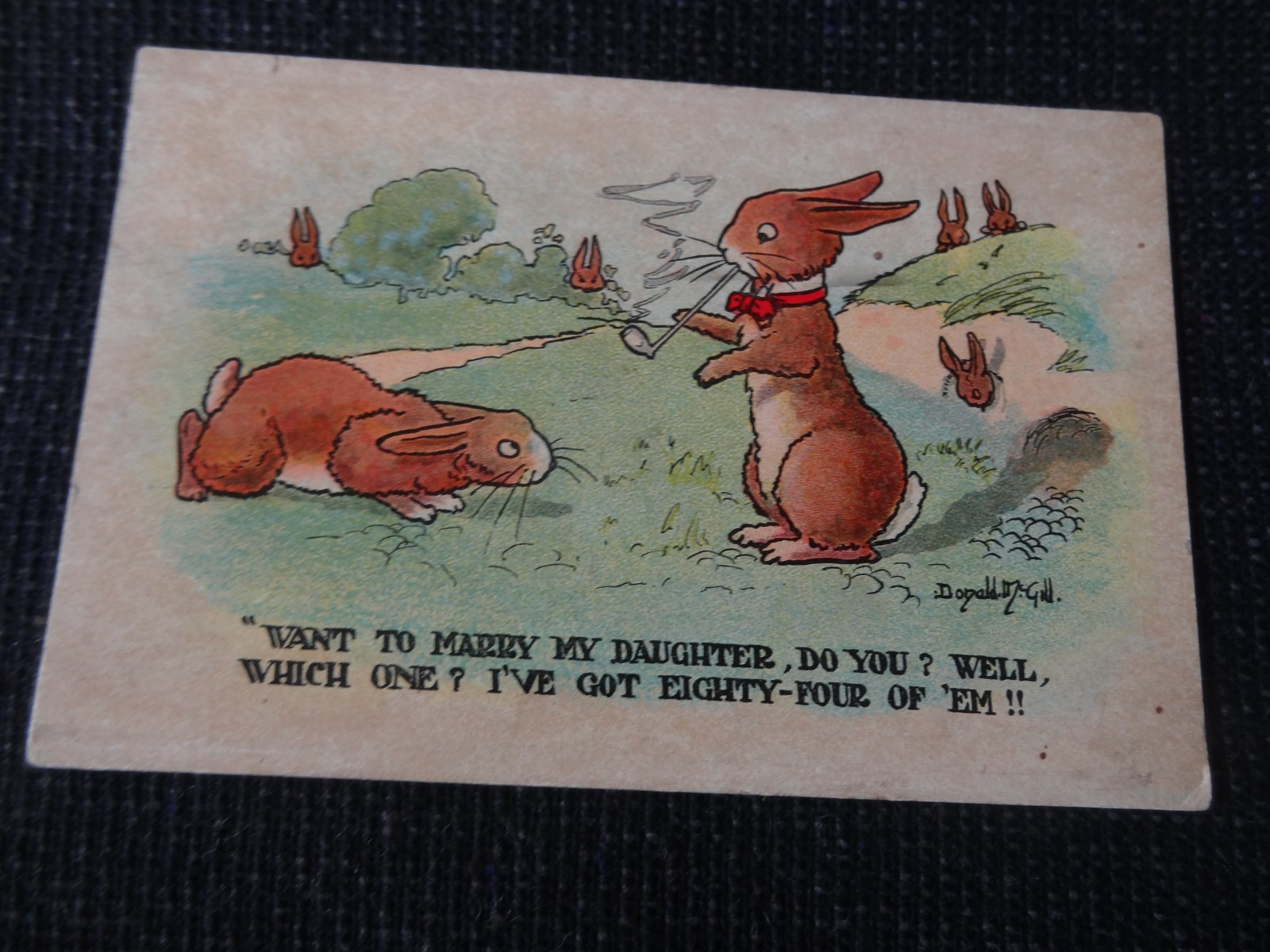 Artist Signed Donald McGill Comic Rabbit Smoking Pipe Greetings Postcard - 12541