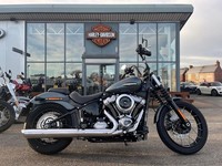 2025 Harley-Davidson SOFTAIL STREET BOB FXBB Billiard Gray / Spoked Wheels (25MY