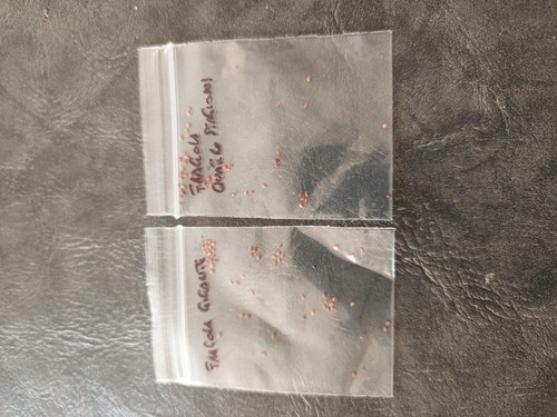 Objectfoto('s) van geverifieerde koper