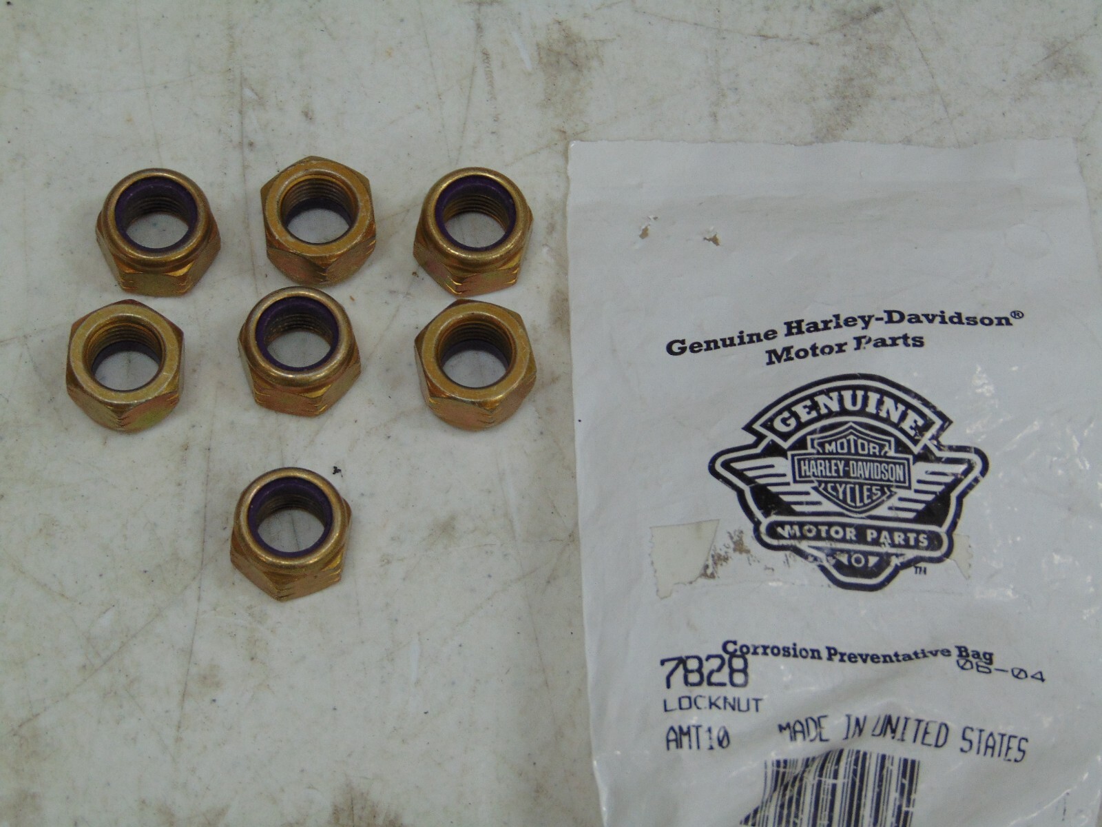 ねっこ Harley Davidson 7/16