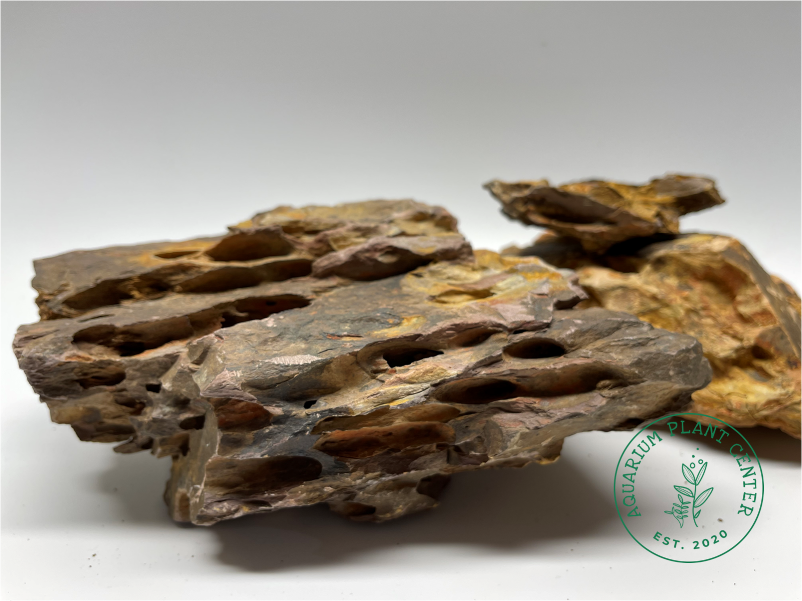 Dragon Stone (Ohko Stone) / Planted Aquarium / Decoration / Hardscape / Aquarium