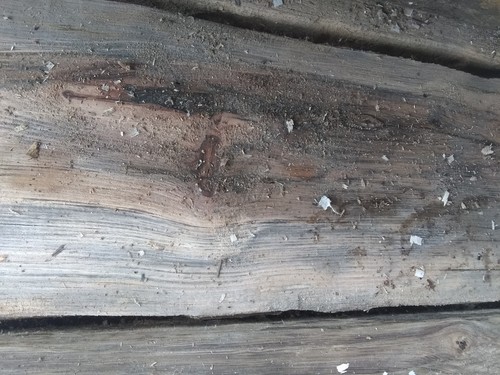 Oak wood sinker wood lumber boards 2