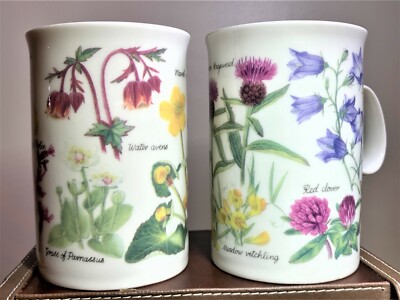 TWO LOVELY SCOTTISH WILDFLOWER MUGS BY DUNOON DESIGNED BY KATHY PICKLES