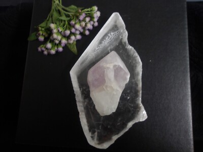 Rare White dragon tooth amethyst 33g paired with clear selenite 111g - point # 4