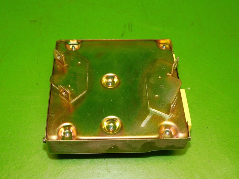 Picture 4