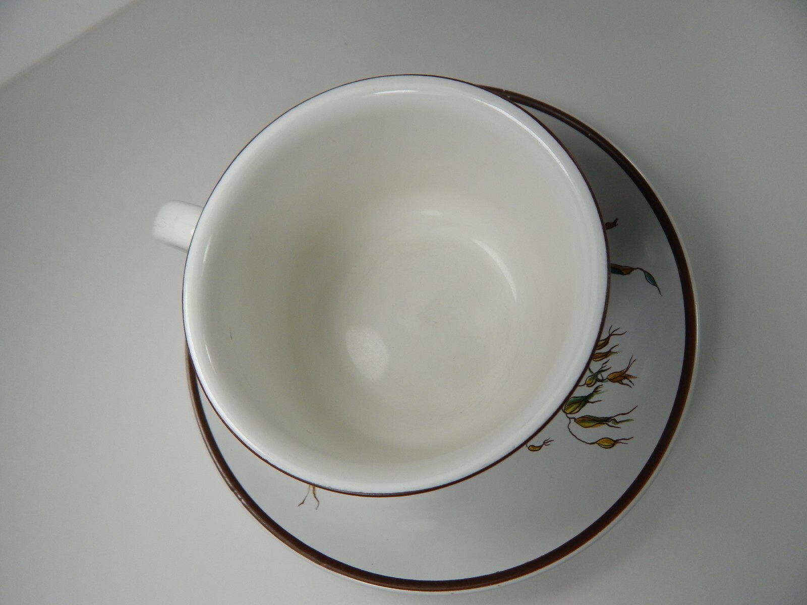 Vintage Villeroy & Boch Cup Mug Botanica Primula Farinosa. 10-11oz