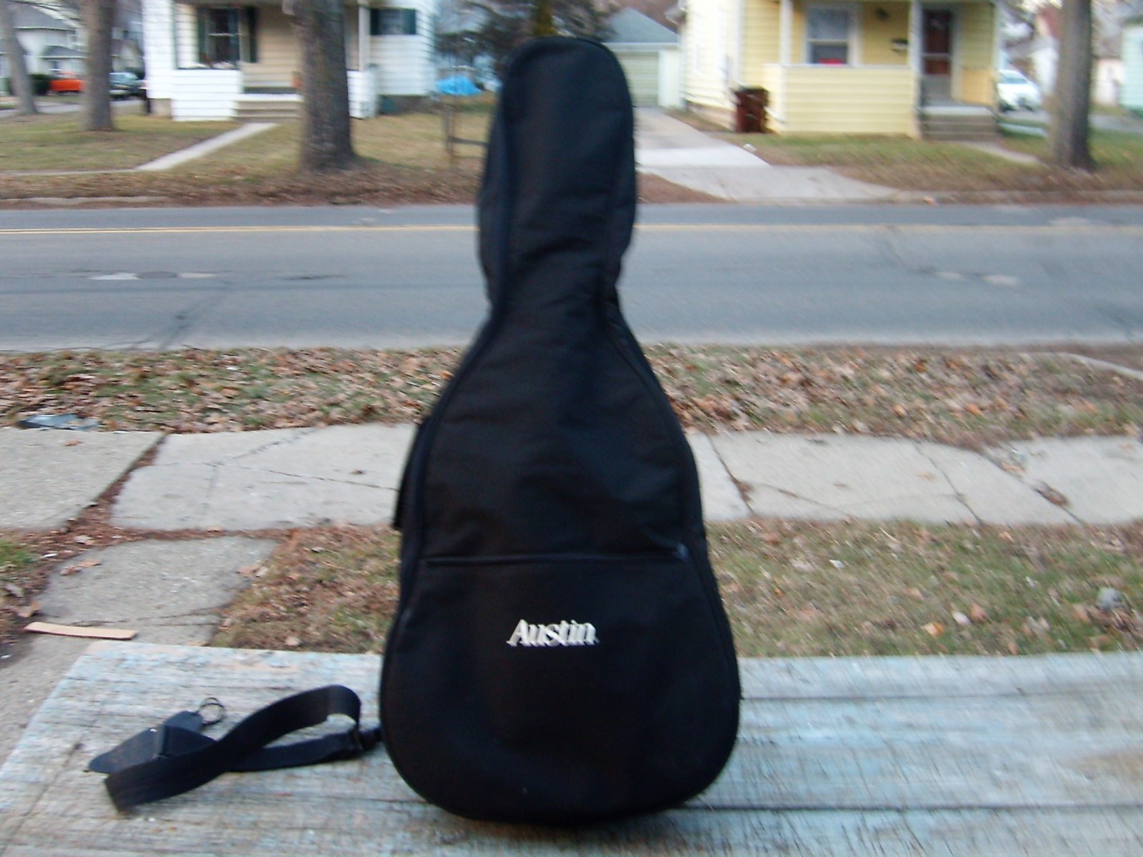 Burswood Acoustic Guitar   ESTEBAN With Case and Stand