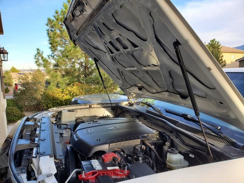 Artikelfoto(s) von einem verifizierten Käufer