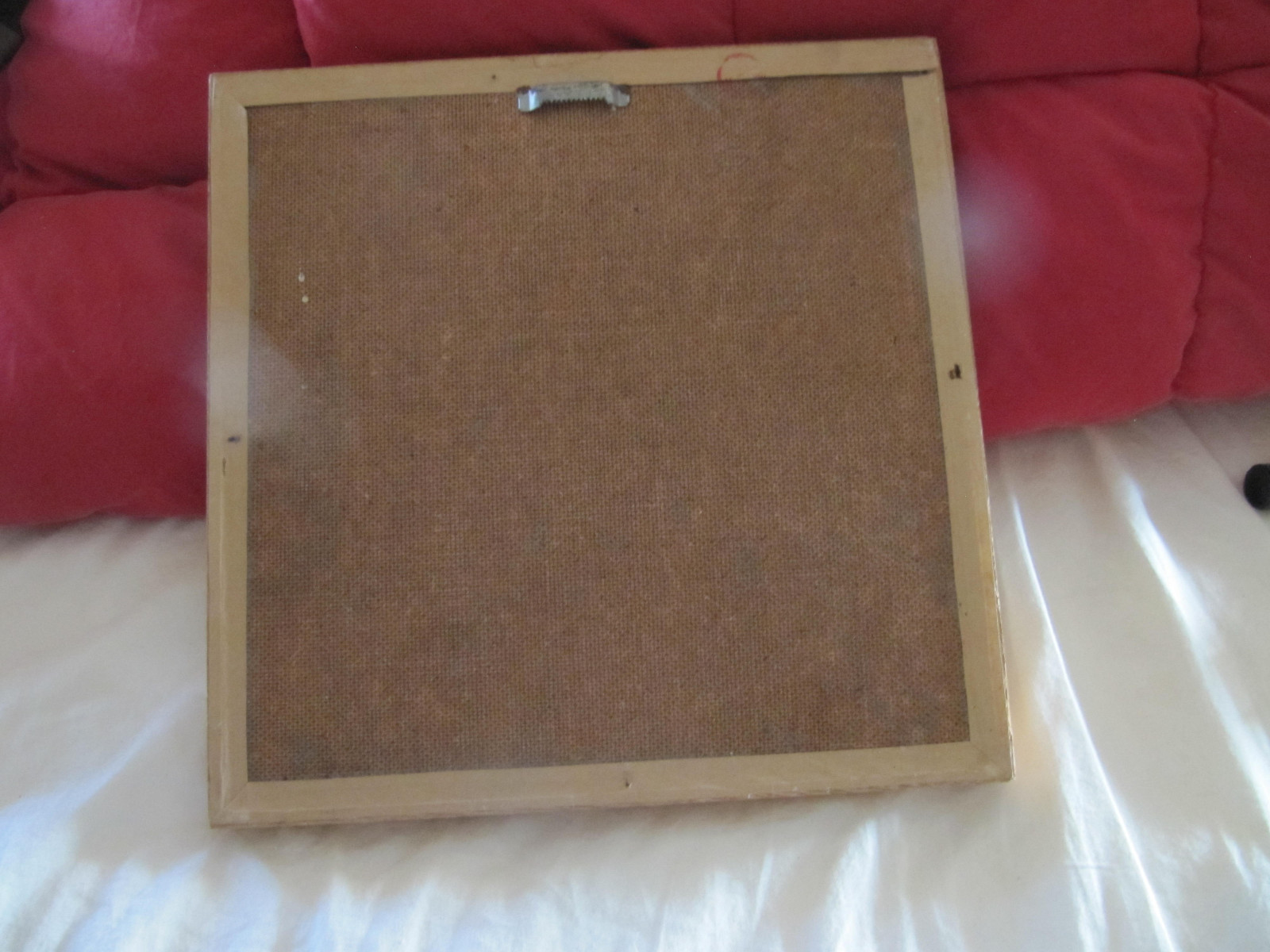 Antique Oriental Chinese 3D Box Framed Feather Picture A Pair of Pheasant Birds