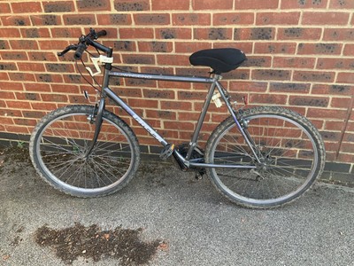 townsend pandora bike