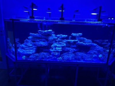 經驗證買家提供的物品圖片