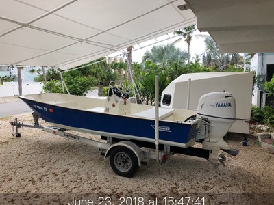Classic 17ft Boston Whaler
