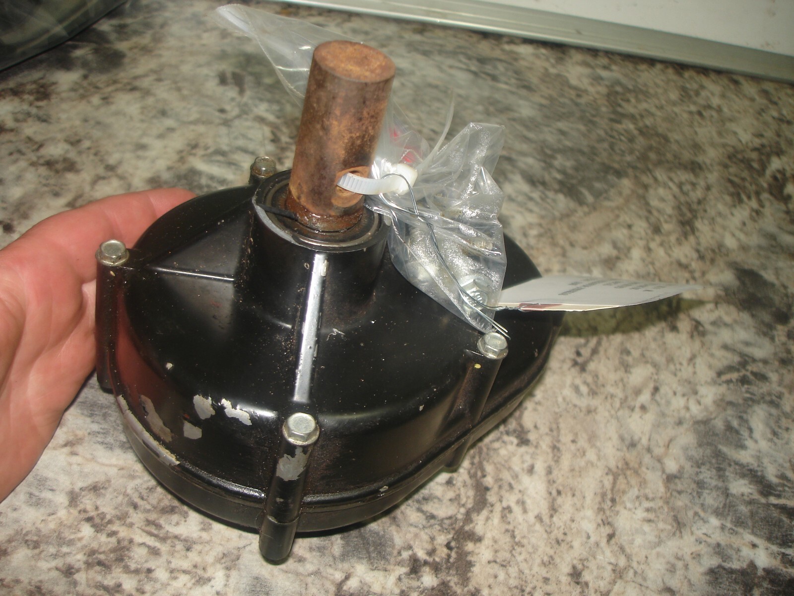 インターステラ/パーツ SHELL - BLACK, RIGHT HAND | 22-78606-501 | Excelerator Parts