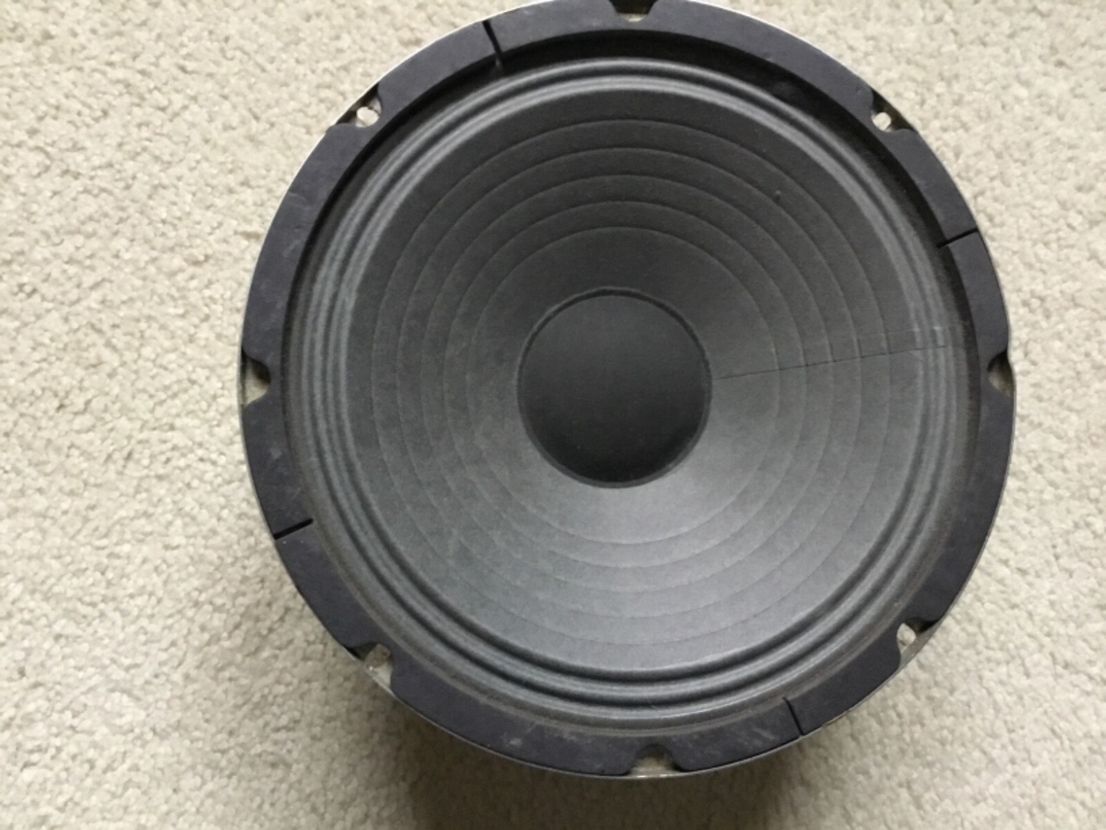 10 inch Alnico speaker from Music Man RD 50 110