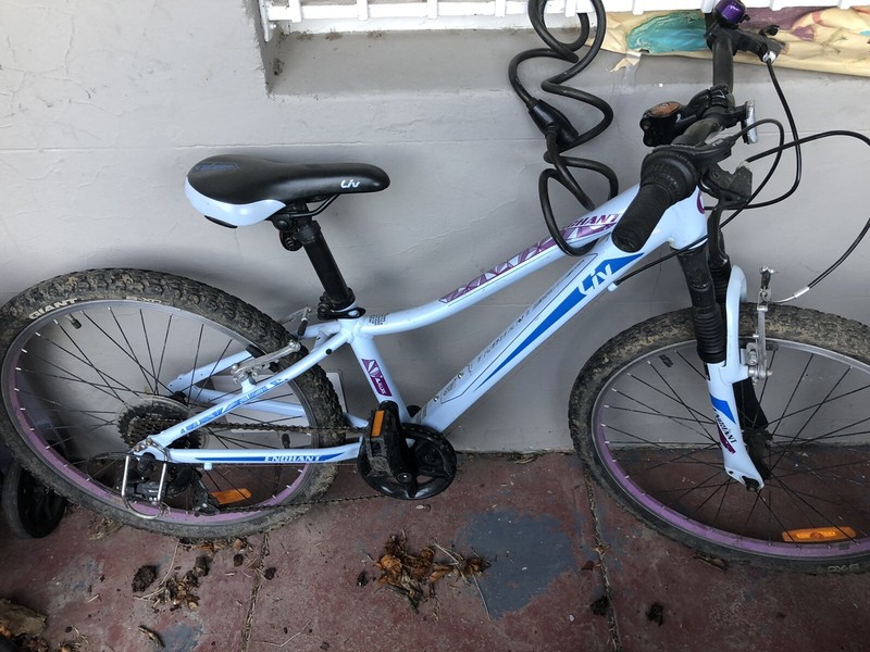 giant enchant 24 inch