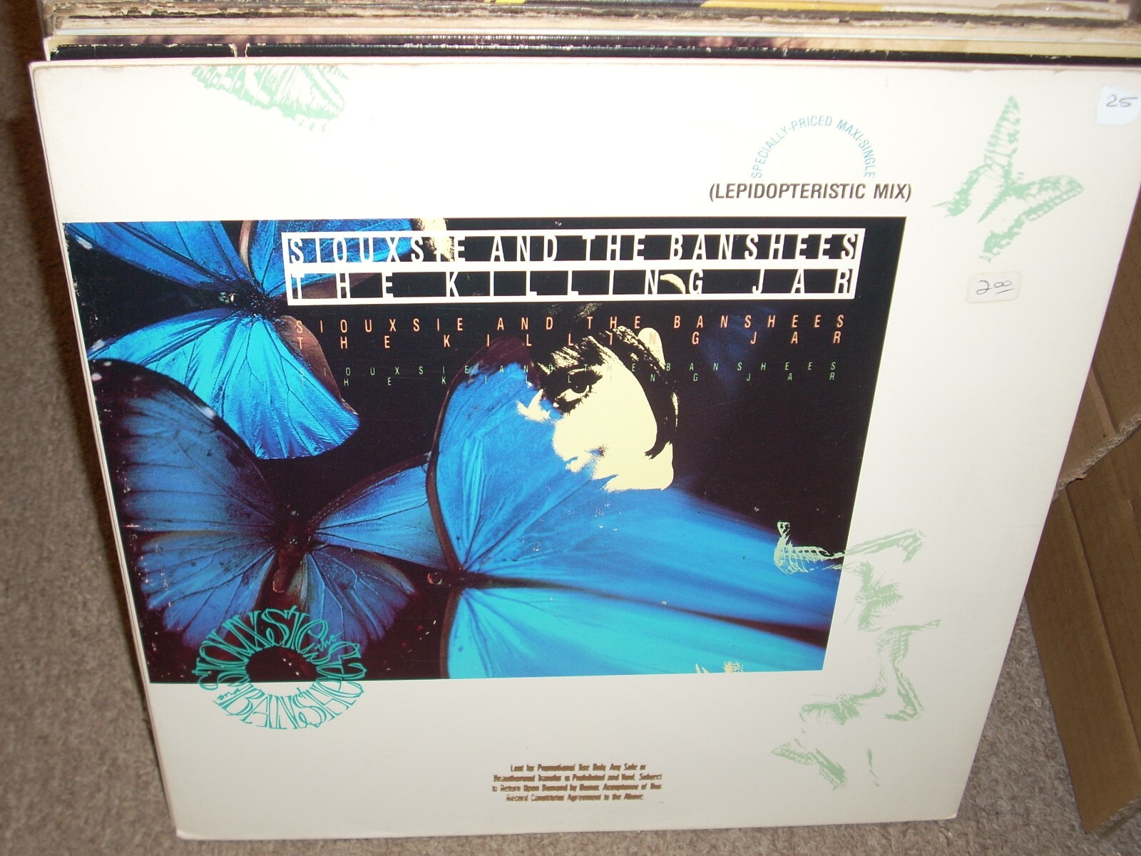 Siouxsie & the Banshees –The Killing Jar Siouxsie And The Banshees – The Killing Jar (Lepidopteristic