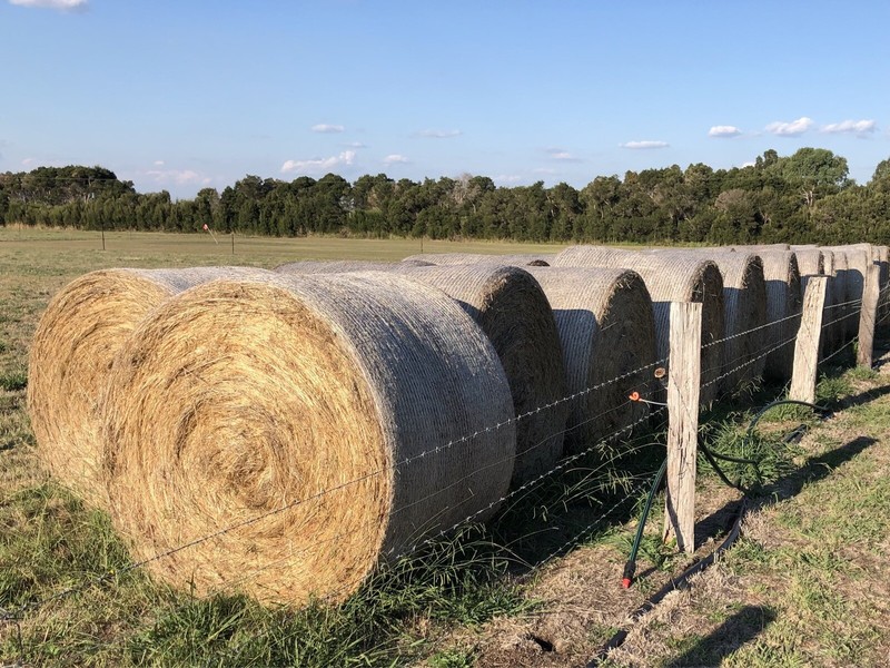 Grass Round Hay Bale Miscellaneous Goods Gumtree Australia Casey Area Tooradin