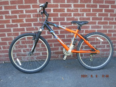 raleilgh 24 mountain bike