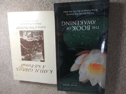 Lot of 10: Spiritual, The Alchemist Paulo Coelho, The Seat of the Soul Zukav