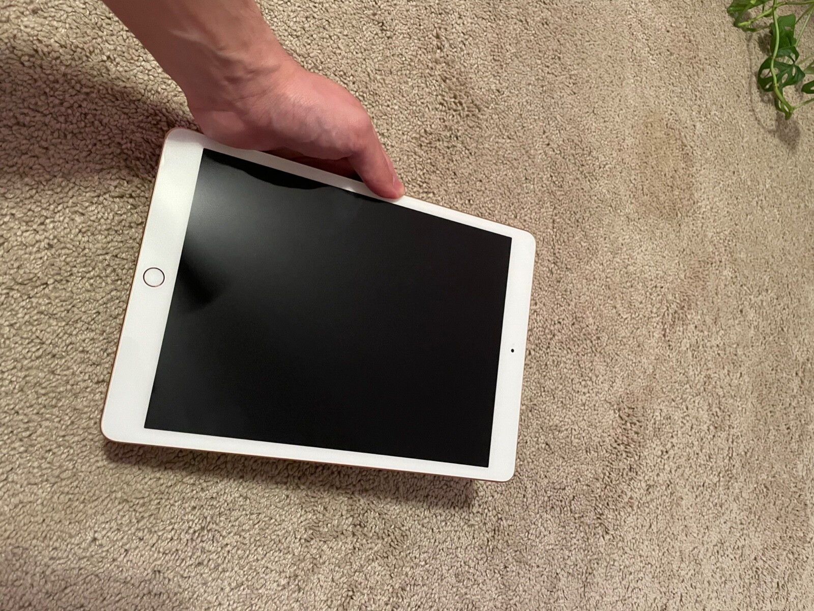 Apple iPad 第7世代 32GB ゴールド iPad Wi-Fi + Cellular 32GB - ゴールド（第7世代） [整備済製品