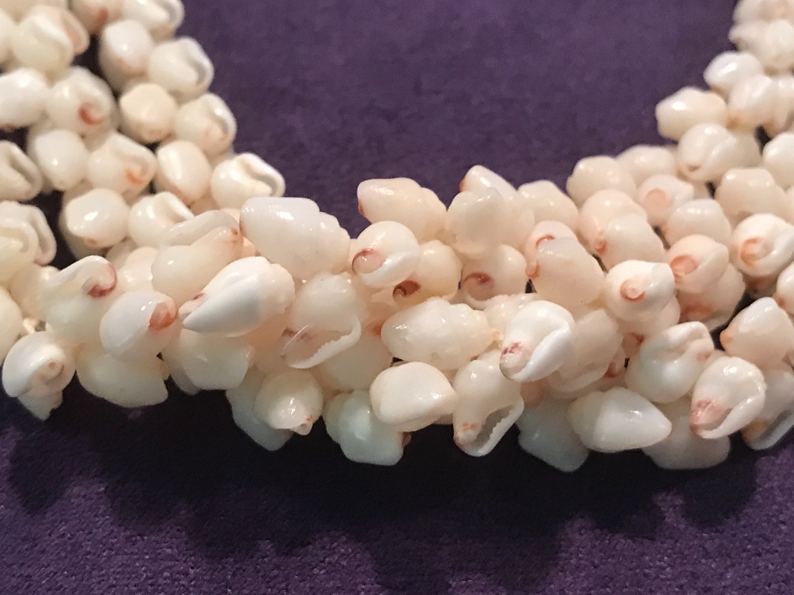 Authentic 3 strand Niihau Shell lei Made In Niihau