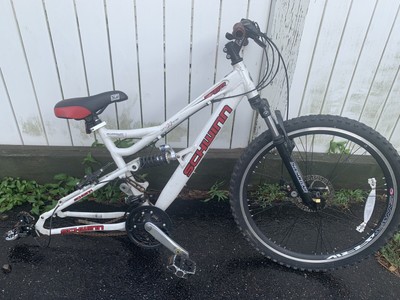 schwinn s60