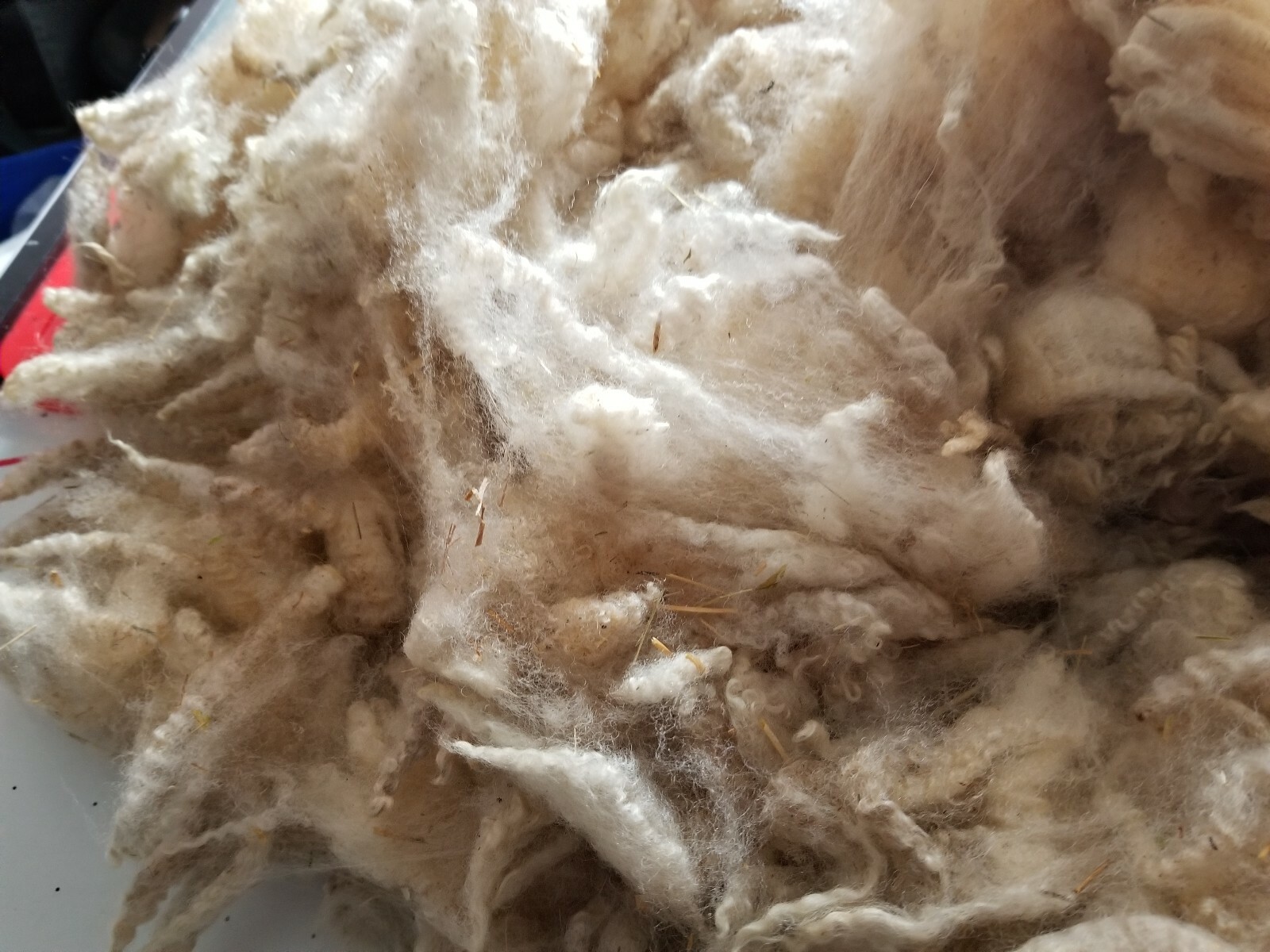 Lincoln white fleece 4 lbs 10 oz staple 4 in. Soft and fluffy vm moderate.
