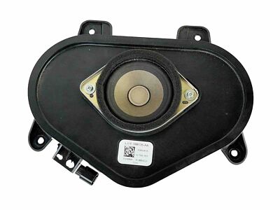 20-23 LINCOLN CORSAIR DASH DASHBOARD INSTRUMENT PANEL CENTER AUDIO SPEAKER OEM
