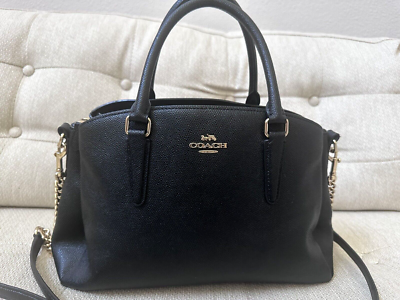 Coach sage carryall bag sale