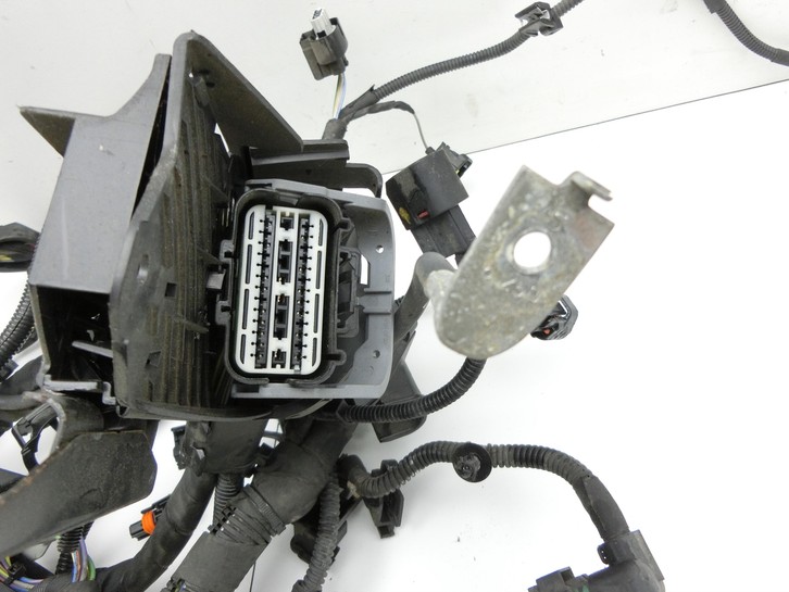 Ford Fiesta VI 6 13-17 5T Kabelbaum für Motor Ford Fiesta VI 6 13-17 21.01.14 C1BT-12A522-SFC C1BT-12A522-SFE... Vorschau 4