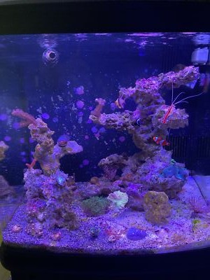 經驗證買家提供的物品圖片