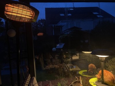 Artikelfoto(s) von einem verifizierten Käufer