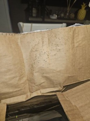 Fotos del artículo de un comprador verificado