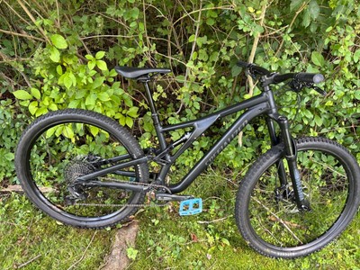 specialized stumpjumper st comp carbon 29 rahmen l 134483036114