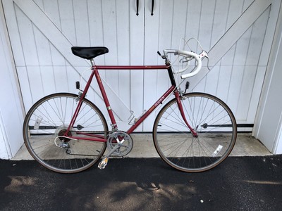 raleigh technium 400