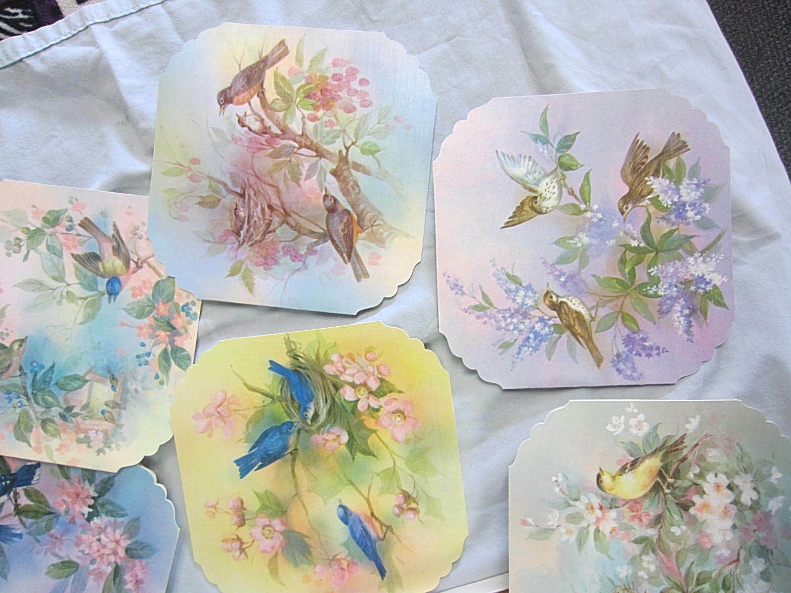 VTG~10 CARDS & ENVELOPES~BIRDS~GET WELL & ASSORTMENT~ORIGINAL BOX~QUALITY CREST