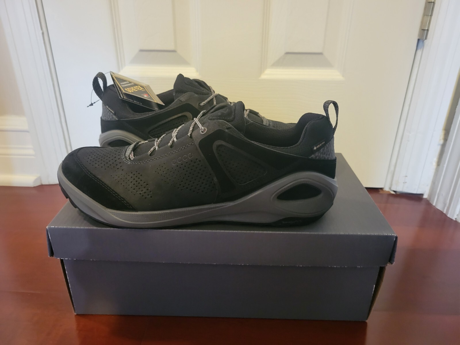 ecco biom 2go