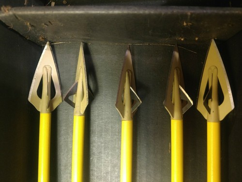 vintage Fred Bear wooden arrows and bear arrow box broad heads hunting tip cedar