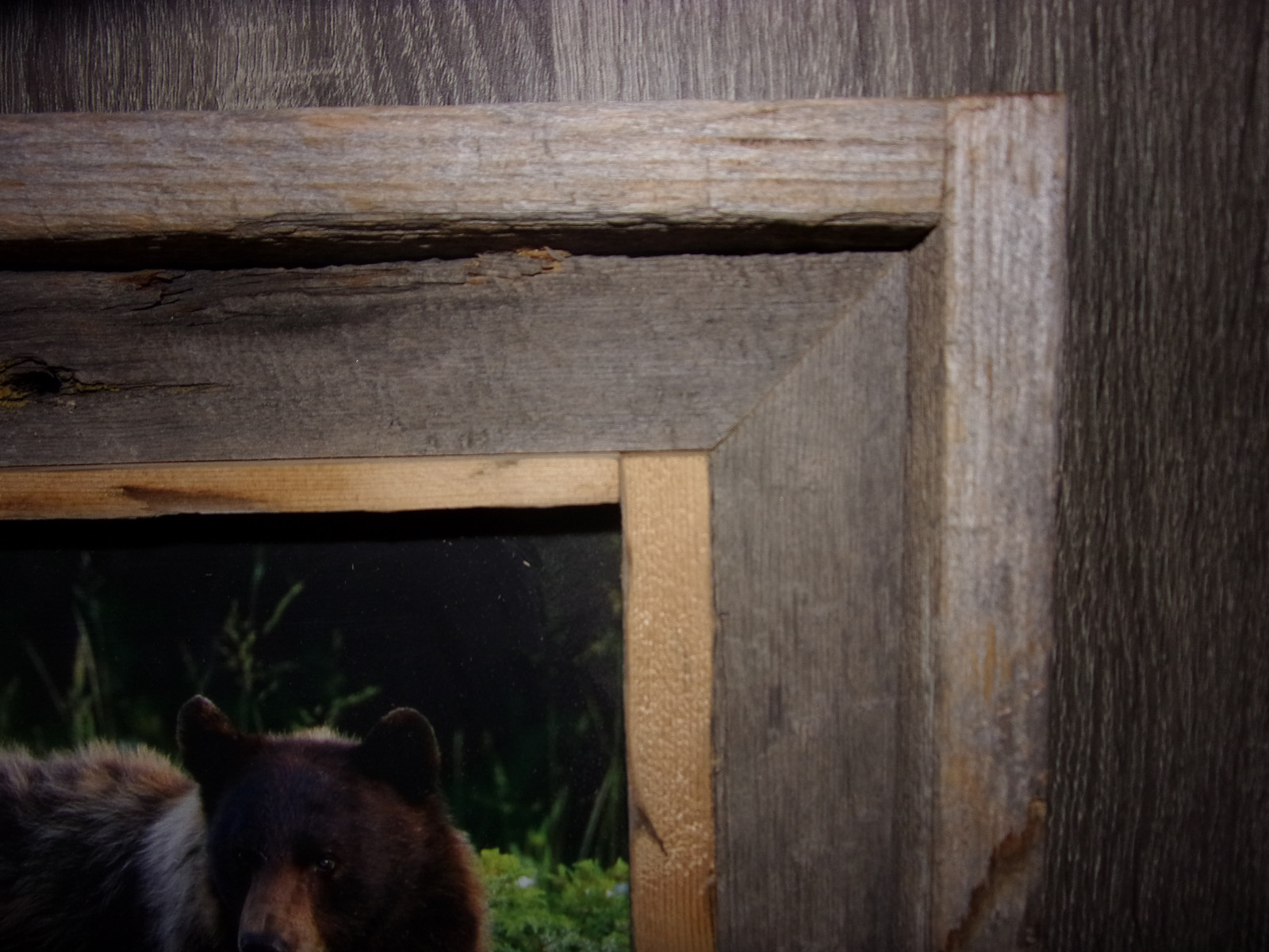 Antique Hand Made Thick Wood 3-D Frame & Grizzly Bear Photo Mountain Cabin Decor