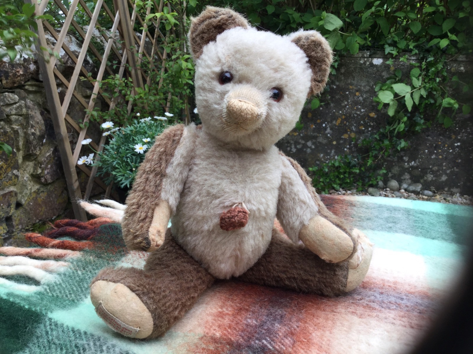 chad valley teddy bears value